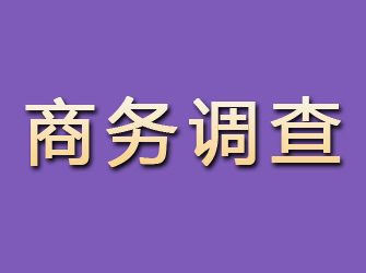 舞阳商务调查